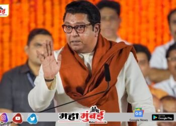 मनसेचं ठरलं… महायुतीबद्दल जनतेत नाराजी असल्याचं सांगत राज ठाकरेंचा मोठा निर्णय!