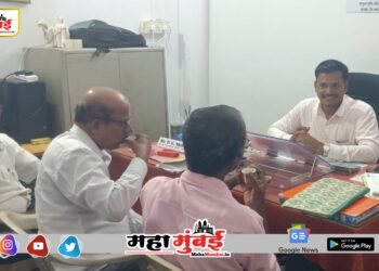 शेतीत परंपरेला टिकवत नवोन्मेषाची जोड; म्हसळ्यातील शेतकरी हळद लागवडीकडे वळले